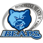 Broadbridge Heath U18 badge