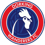 Dorking Wanderers B badge