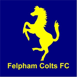 Felpham Colts Badge