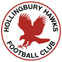 Hollingbury Hawks badge